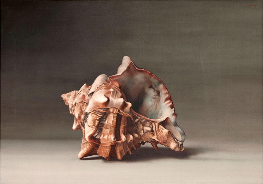 Shell